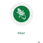 misir