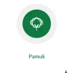 pamuk-1