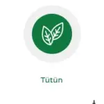 tutun